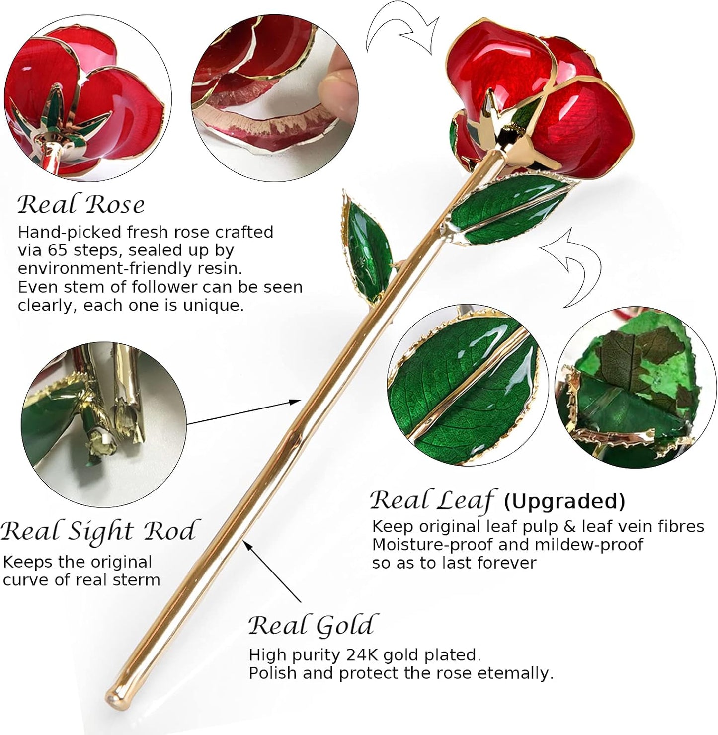 Gold Dipped Rose 24K Real Rose