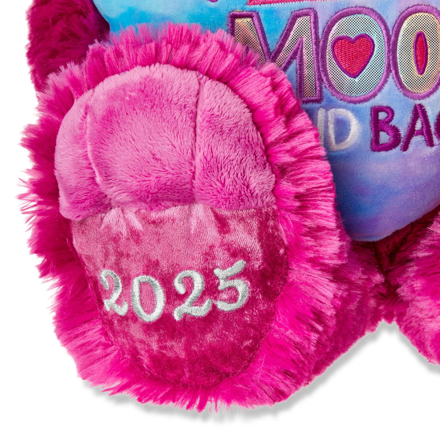 Valentine's Day 2025 Pink Sweetheart Teddy Plush