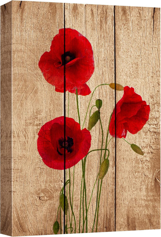 Canvas Print Wall Art Red Poppy Flower 