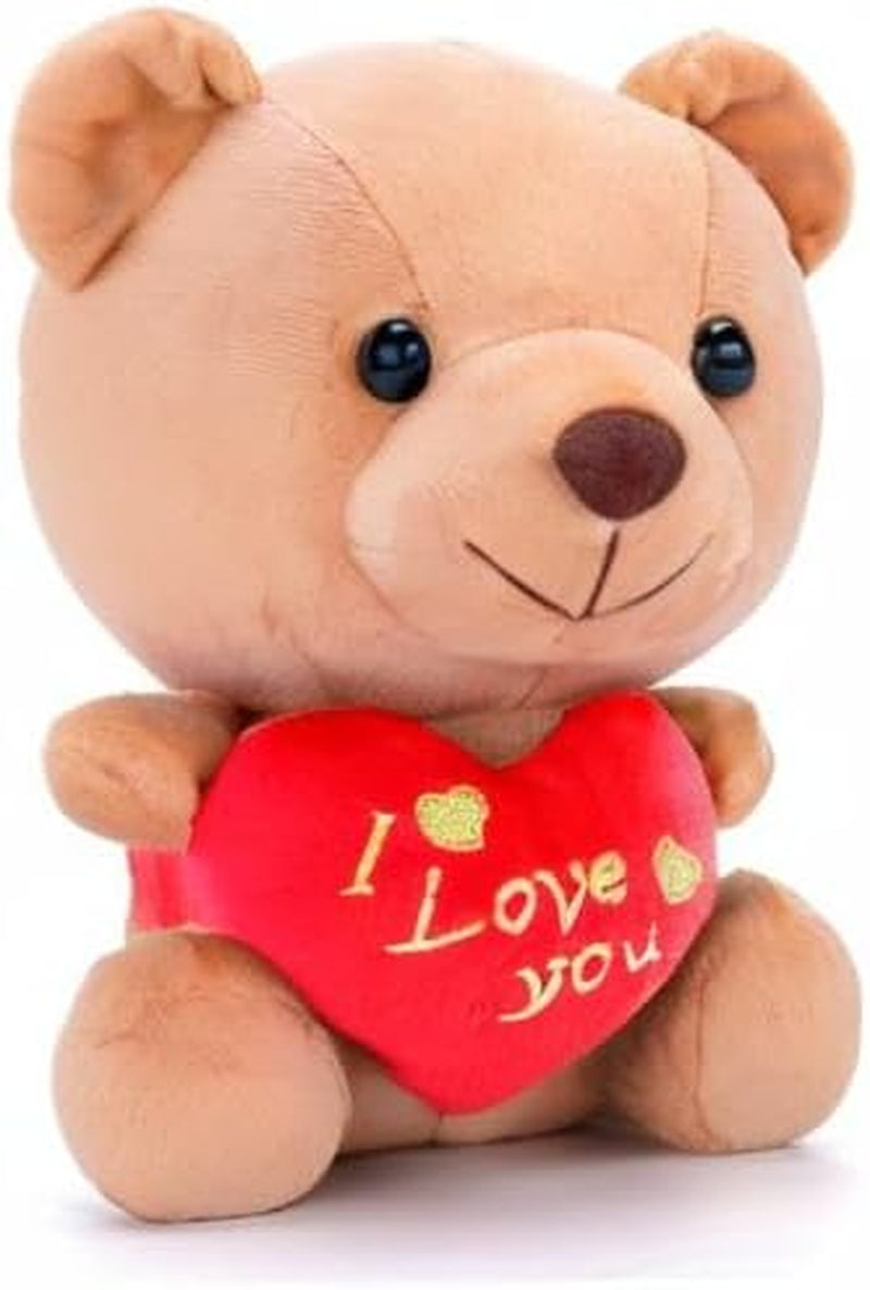 Valentines Day Teddy Bear