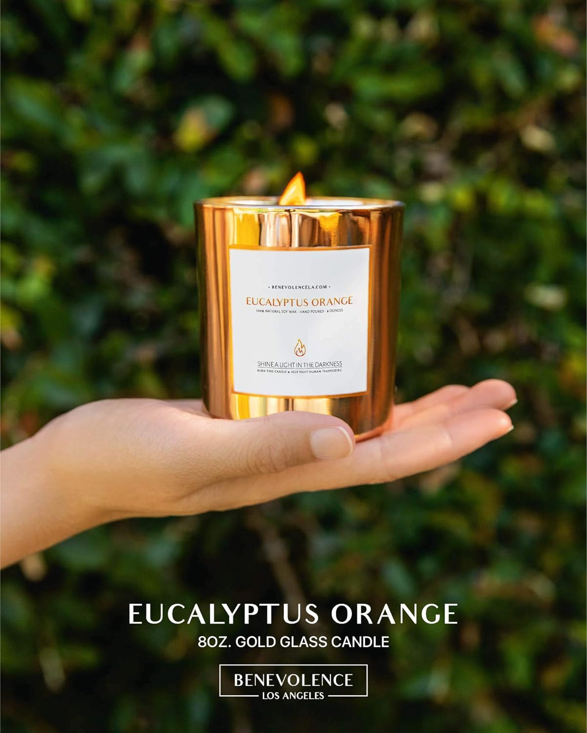 Eucalyptus Orange Wood Wick Candle